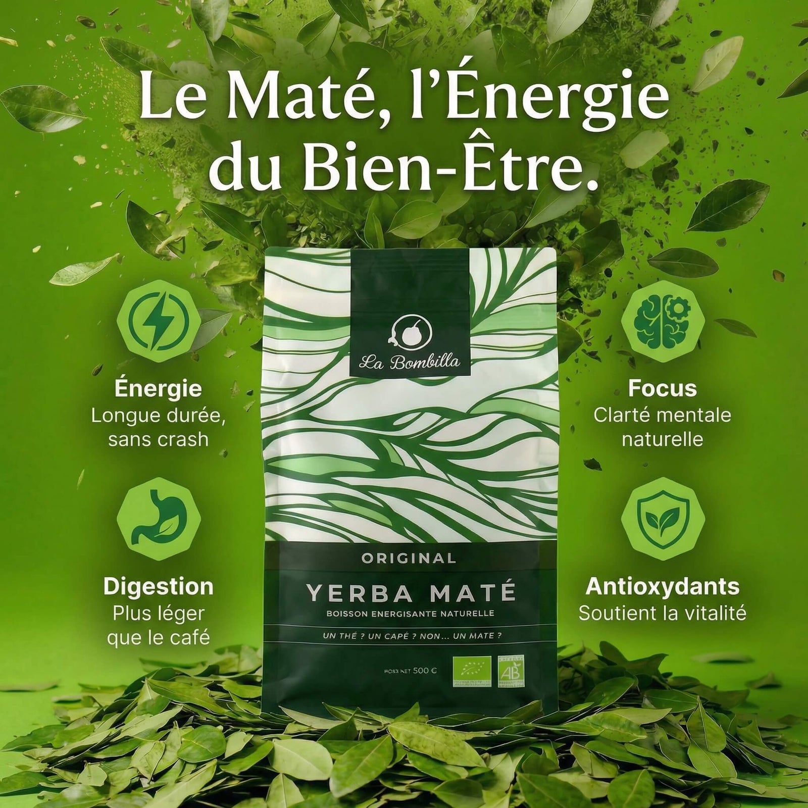 Maté Original Bio