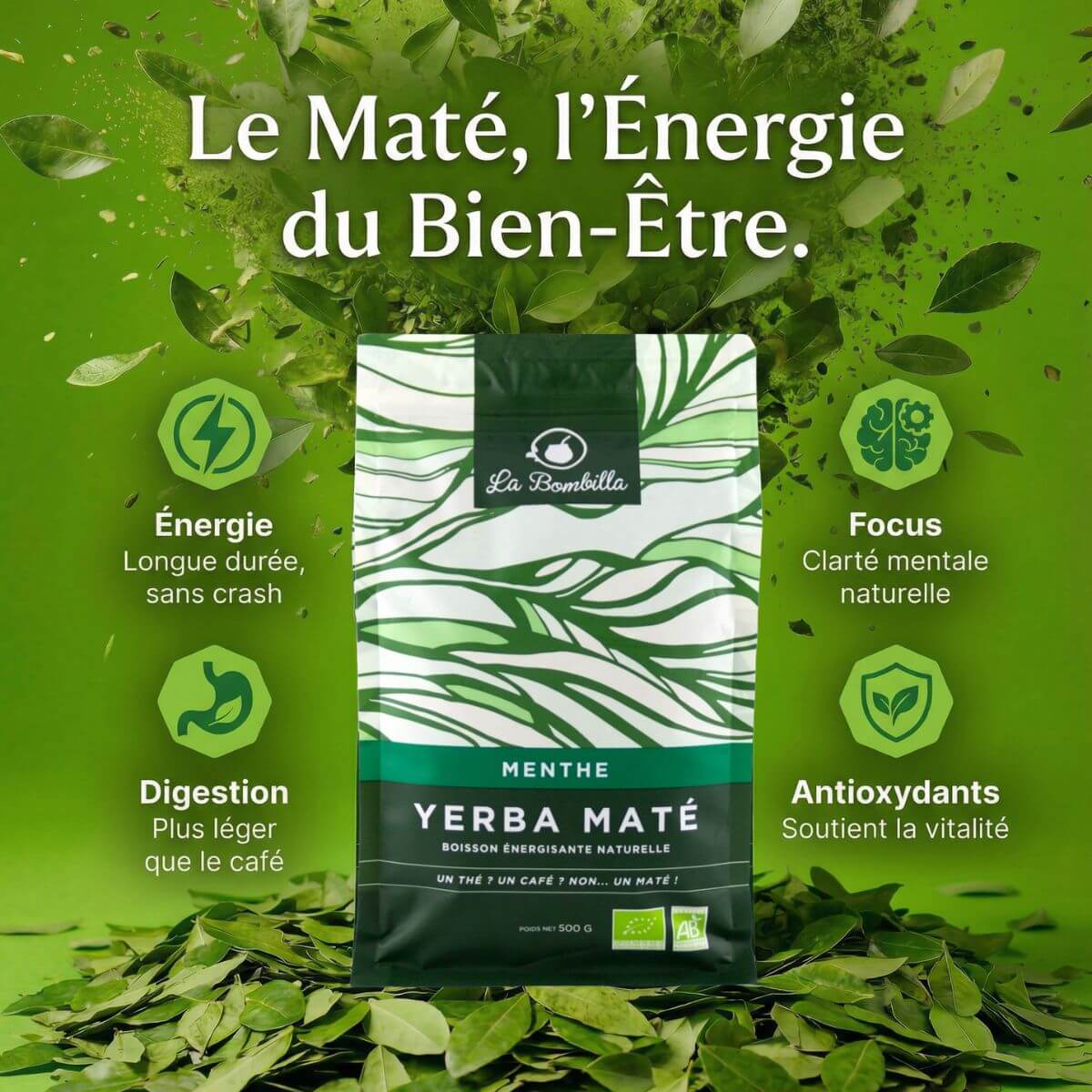 Maté Menthe Bio